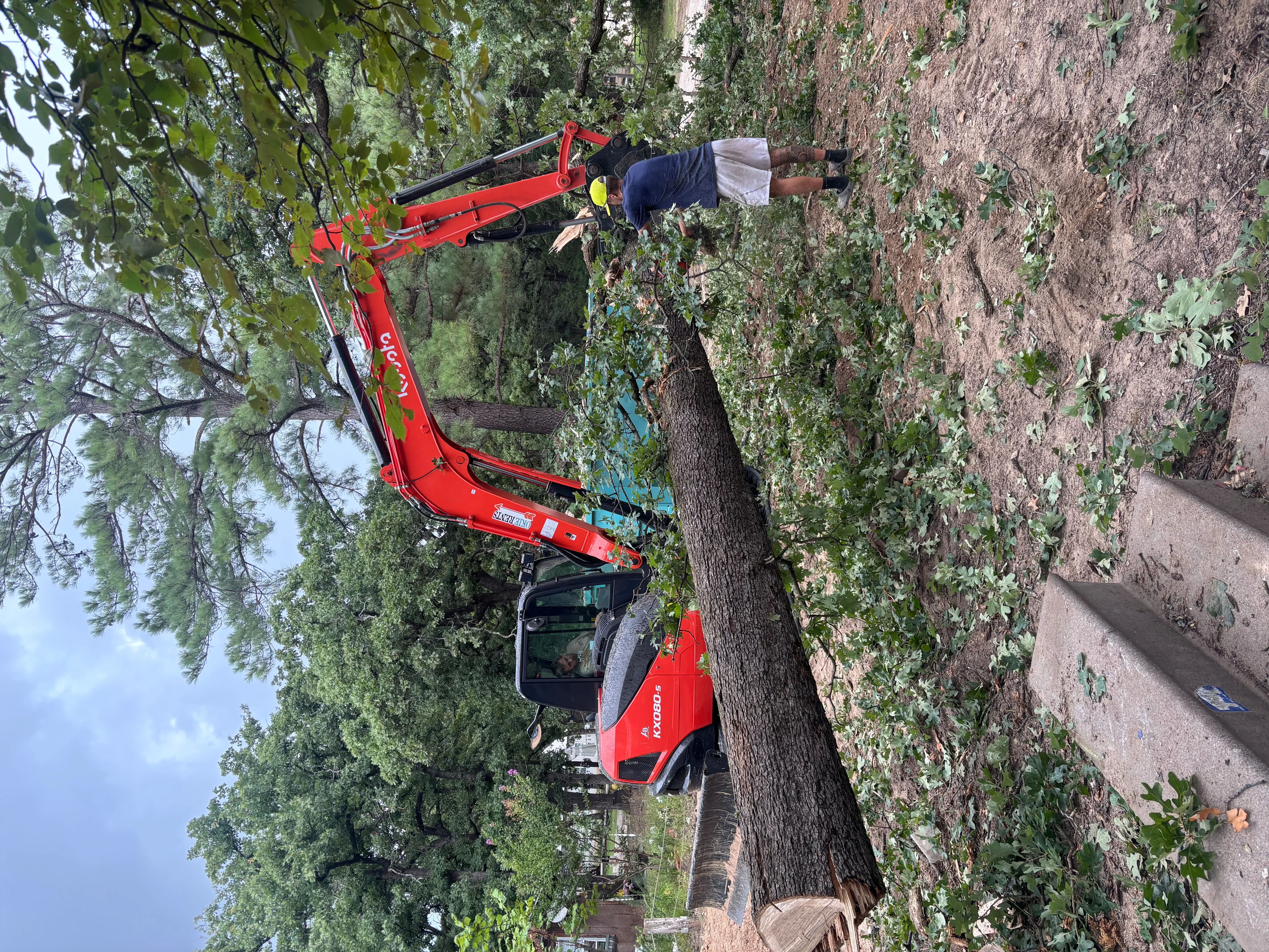 Red tracked boom lift with grapple removing large tree near brick building