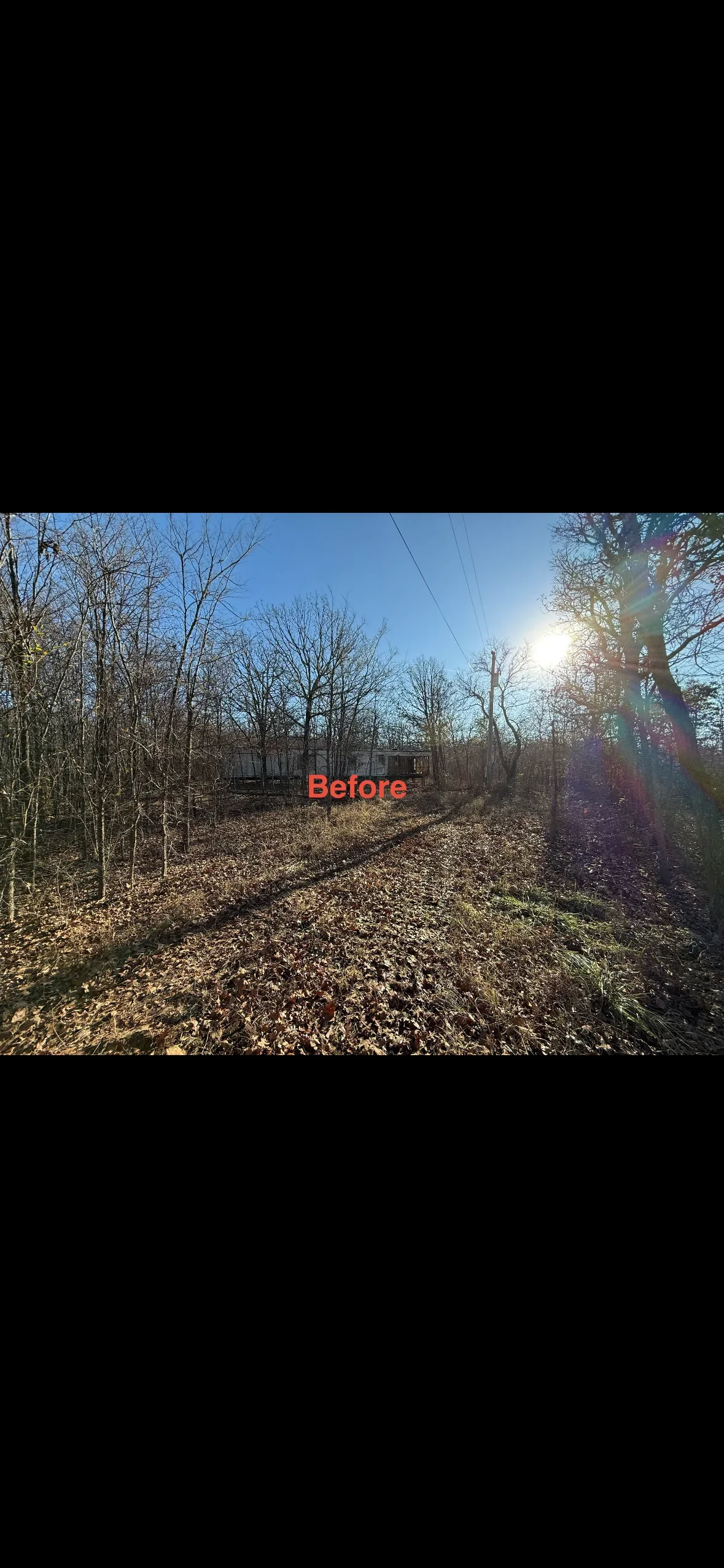 Cleared wooded lot with bare trees and exposed ground after debris removal
